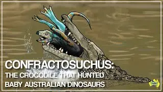 Confractosuchus: The Crocodile That Hunted Baby Australian Dinosaurs