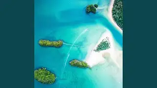 This Track