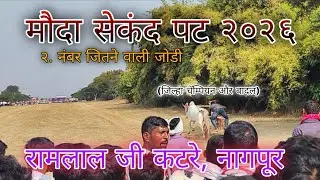  रामलालजी कटरे नागपूर || मौदा पट २ नंबर जिते || बादल और जिल्हा चॅम्पियन बैलजोड....