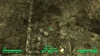 Flamer Fuel