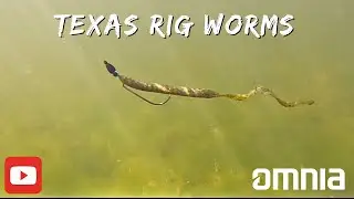 &ldquo;Mastering Texas Rig Worms: Underwater Secrets Revealed!&rdquo;
