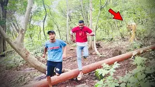 Jungle ghumne Gaye to ￼￼Tiger, Aa Gaya ￼। आज तो मरते मरते बचे😭😭