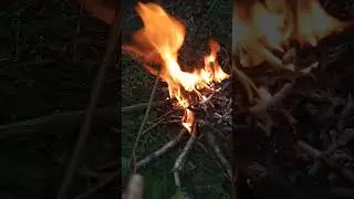 Коптим вкусное сало на костре в лесу