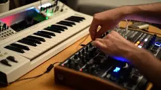 Session Drone n°1 - Arturia Minibrute 2S / Tip Top Audio Z-DSP (Halls of Valhalla)