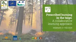 Prescribed burning in the taiga: A collaborative learning approach. Life2Taiga Webinar 21 Feb 2025