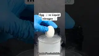 Egg 🥚 vs Liquid nitrogen 🌧️ #science #satisfying #experiment #asmr #liquidnitrogen