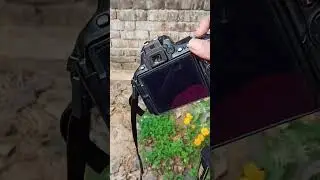 Best dslr under 60k .. #photography #shortvideo #ytshorts #shortsfeed #shorts #short #videography