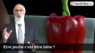 &lrm;&Ecirc;tre jeune c'est &ecirc;tre b&ecirc;te ? (Rav Mordehai Bitton)