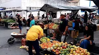 Feira de Natal na Quarta feira 