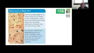 Webinar #28:  Potato Tuber Blemish Diseases: status and management