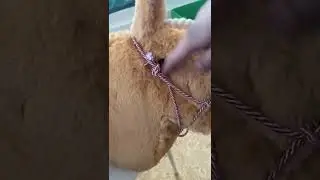 ￼Meine Weihnachtsgeschenke 