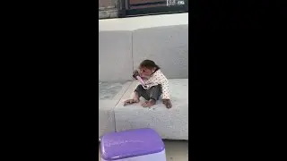 See this funny monkeys Bryan & Icy Are Eating Snack With Mom. #cute #monkey #animals #eating