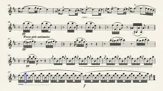 Csárdas from Ritter Pásmám Opera. Op.441 - Johann Strauss Junior