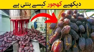 Khajur Kaise Banta Hai | See How Dates Made in the Factory | Dates Factory