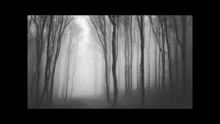 Mournful Congregation - Concrescence of the Sophia (2014)