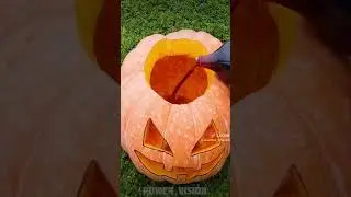 красота