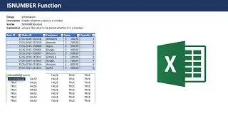 Excel ISNUMBER Function - Beginner Tutorial with examples