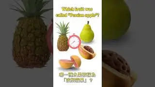 Welche Frucht wurde &bdquo;Persischer Apfel&ldquo; genannt?