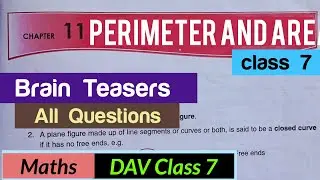 DAV Class 7 Maths chapter 11 Brain Teasers all questions