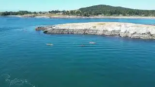 Cattle Point Lighthouse by Drone