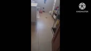 noclip