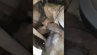 Ali motor Verna floating CRDI fan belt बार-बार utarna iski kya problem hai aur Kyon Utar rahi hai