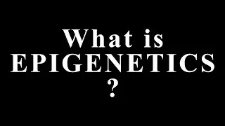 What Is Epigenetics? How Your Lifestyle Can Rewrite Your Genetic Destiny
