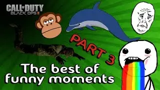 Black Ops 2: The Best Of FUNNY MOMENTS Part 3 (Dolphin Dives, Skydiver, Monkey and much more!)