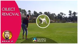 Davinci Resolve 16 Object Removal