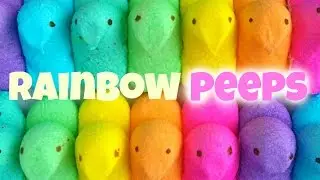 DIY RAINBOW PEEPS! DIY EASTER PEEPS!