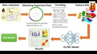 New machine learning models capture the rapid evolution of antimicrobial resistance