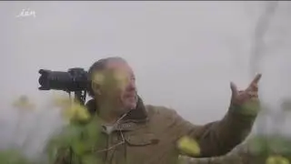Danny de weerman van Haaltert