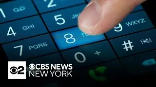 New York City's new area code revealed