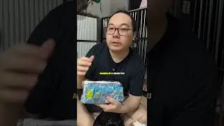 review blue tree flu olive care untuk kucing