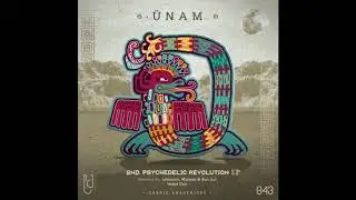 &Uuml;NAM - 2nd Psychedellic Revolution (Original Mix)