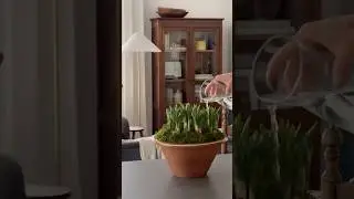 Creating a Simple Spring Planter at Home | Seasonal Styling with Studio Makin