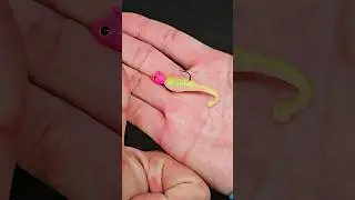 Rigging up the Z-Man Fishing Products Baby BallerZ for some fall crappies! #fishing #fishingvideo