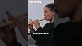 Musical Journey Unveiled