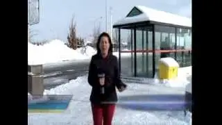 Go Transit Delays
