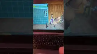 Showing me you star stable codes 2021