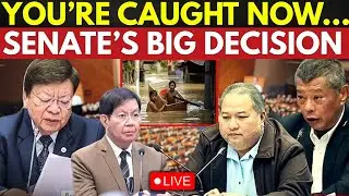 Philippines Senate Live: Mastermind Unmasked As Unexpected Twist Blows Up Hearing | Live News