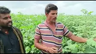 Winfinith Kisan ko agriculture amazing result