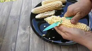BAHÇEDEN TENCEREYE TAZE MISIR ÇORBASI