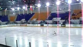 Elinor`s Ice Skating Competition