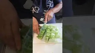 SLICING LETTUCE INTO SMALL SIZE #short #utubeshort #satisfying