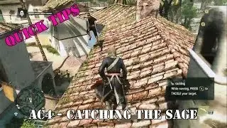 Tackle The Sage From Above - Assassin's Creed IV - Quick Tips