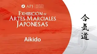 Conociendo las artes marciales japonesas: Aikido