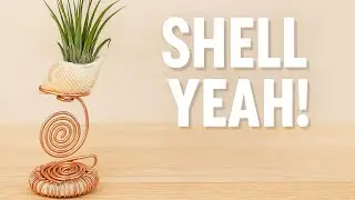 DIY Gorgeous Wire Art Air Plant Holder with Sea Shell 