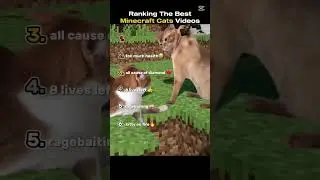 Ranking The Best Minecraft Cats Videos #memes #cat #minecraft #mini #ranked #minecraft #minivlog