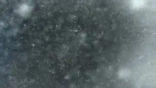 old paper with dirty texture animation @stockfootages-1